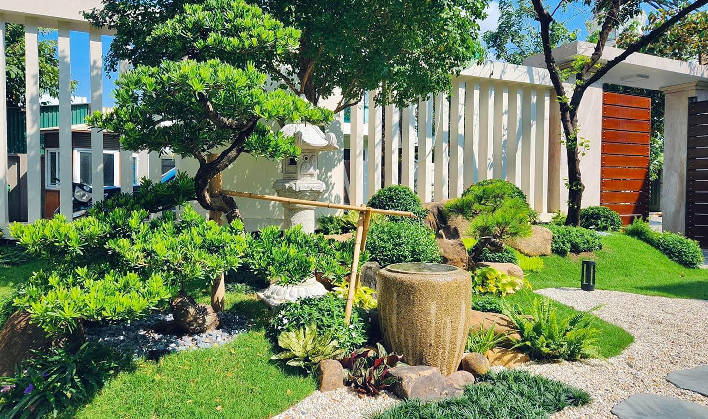Trồng cây trong sân vườn